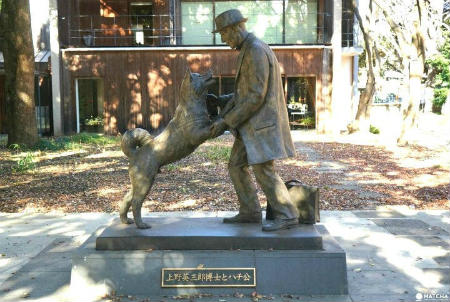 Statue de hachiko