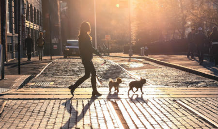 Moderar horarios de paseo