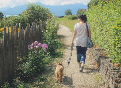 como passear com seu cachorro