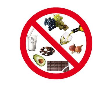 alimentos-prohibidos-para-perros