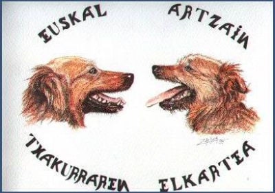 Ilustração 1995 das 2 variedades