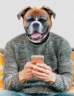 best apps for dogs