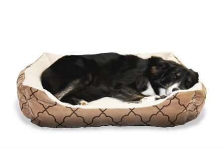 camas para perros
