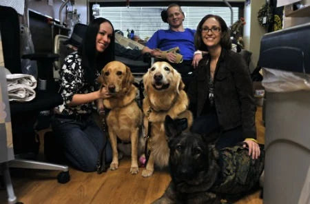 Animal Assisted Therapy