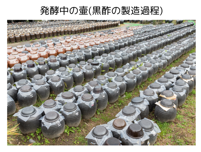 発酵中の壷(黒酢)
