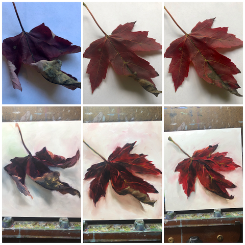 1 leaf that changes during the day