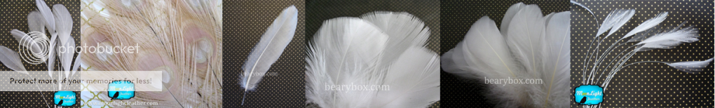 white feathers