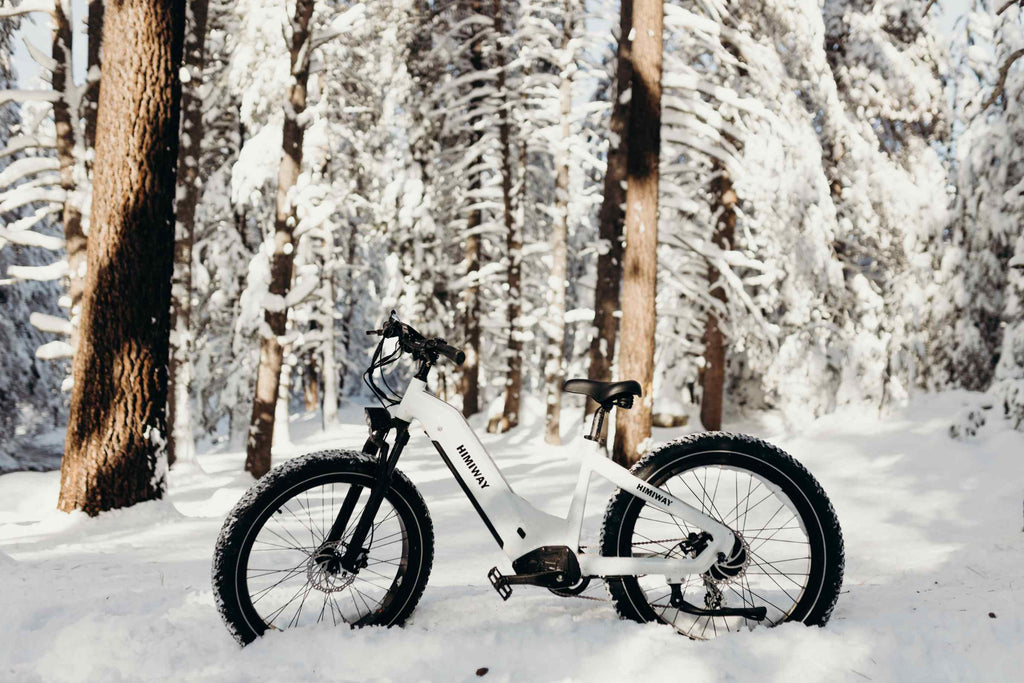 Himiway fat bike