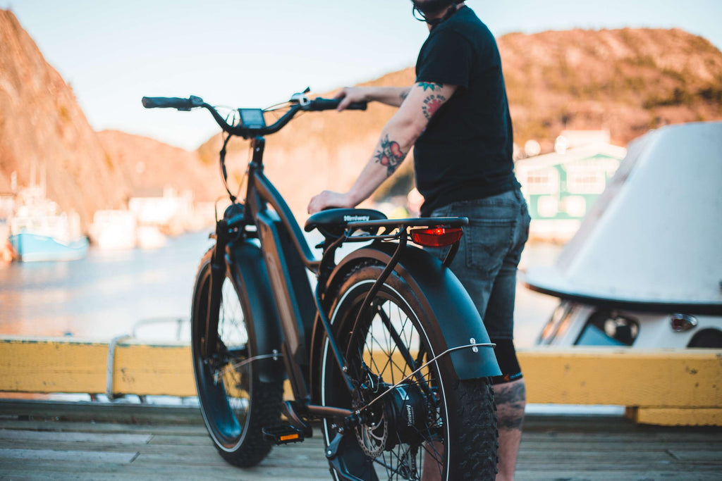 Himiway Long Range Electric Bike