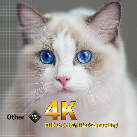 4k projectors vs all