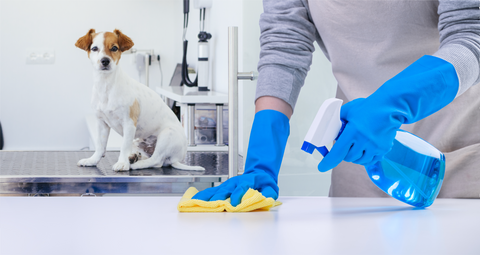 Cleanup in veterinary clinics