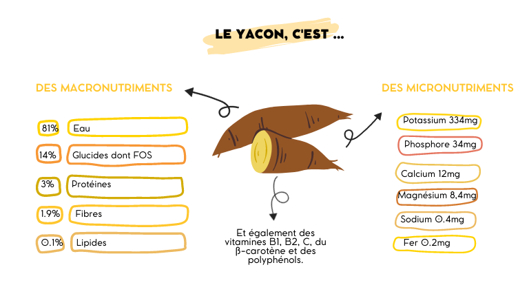 Tout savoir sur le yacon (poire de terre) : origine, bienfaits