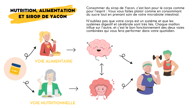 nutrition-alimentation-et-sirop-de-yacon