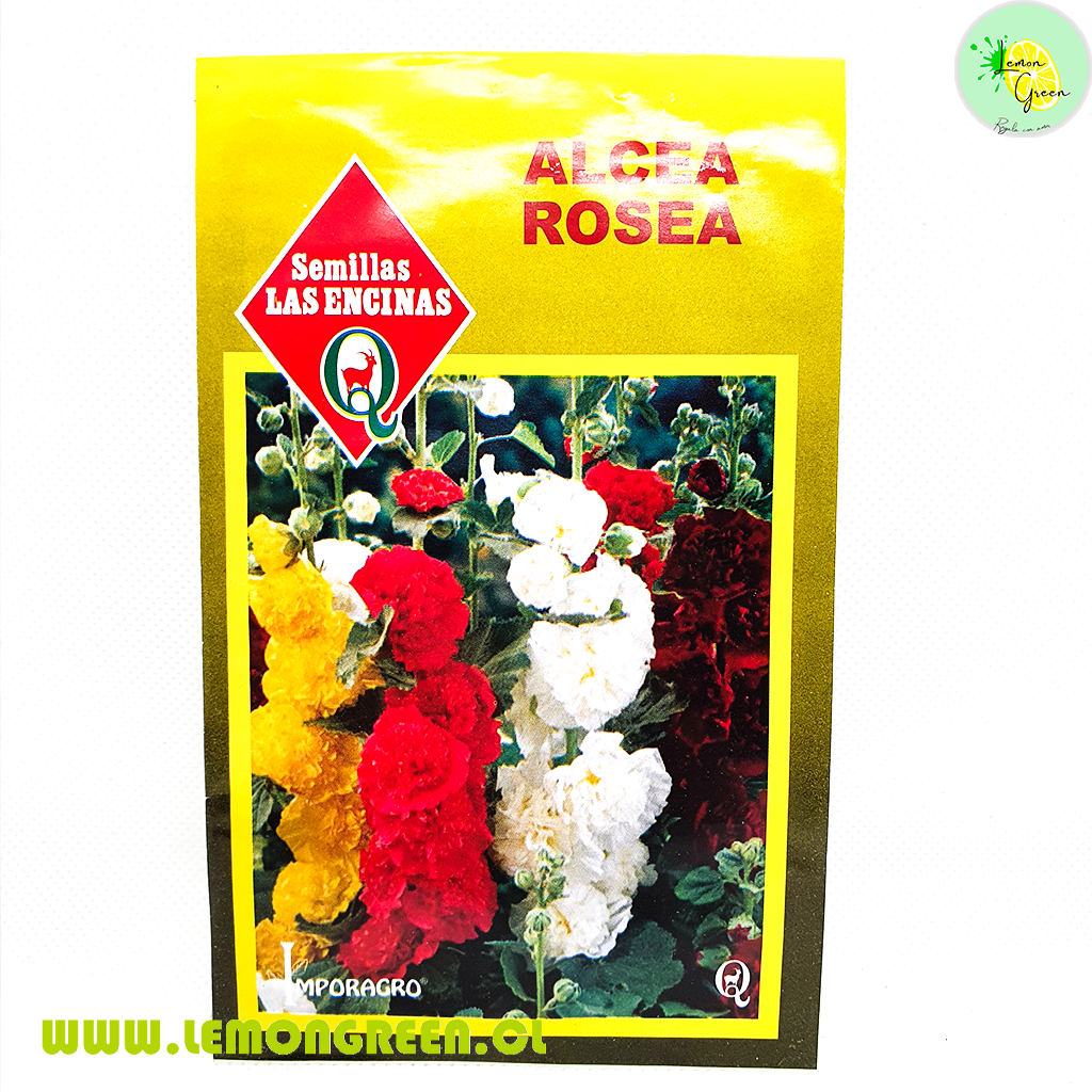 Semilla Flor Alcea Rosea – Lemongreenchile
