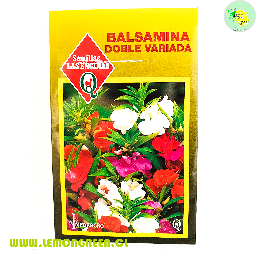 Semillas Flor Balsamina Doble – Lemongreenchile