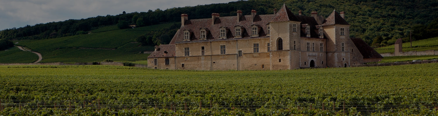Altes französisches Château umgeben von Weinbergen und Wald