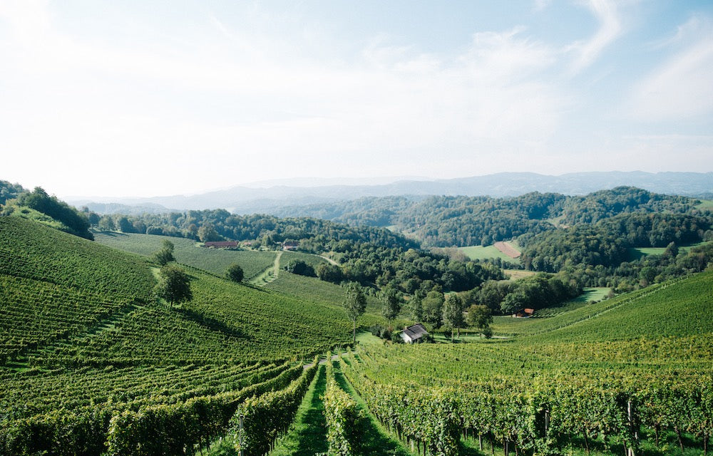 Weingut Tement Weinberge