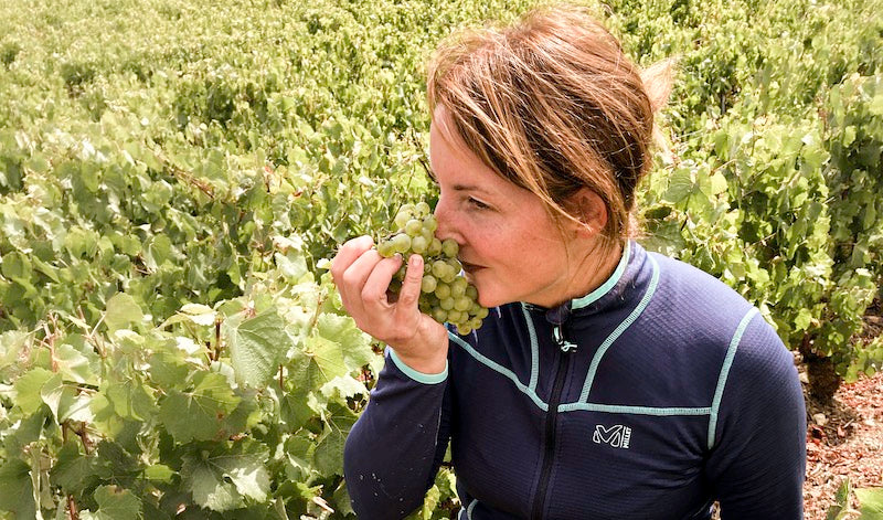 Delphine Brison riecht an Trauben im Weinberg