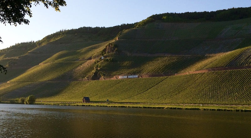 Wehlener Sonnenuhr an der Mosel