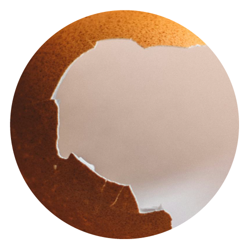 Ingredient-1-Joint.png__PID:955749c4-9c02-41b2-a448-1ef8aab6a99d