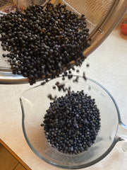 Fresh clean elderberries being poured into glass measuring cup