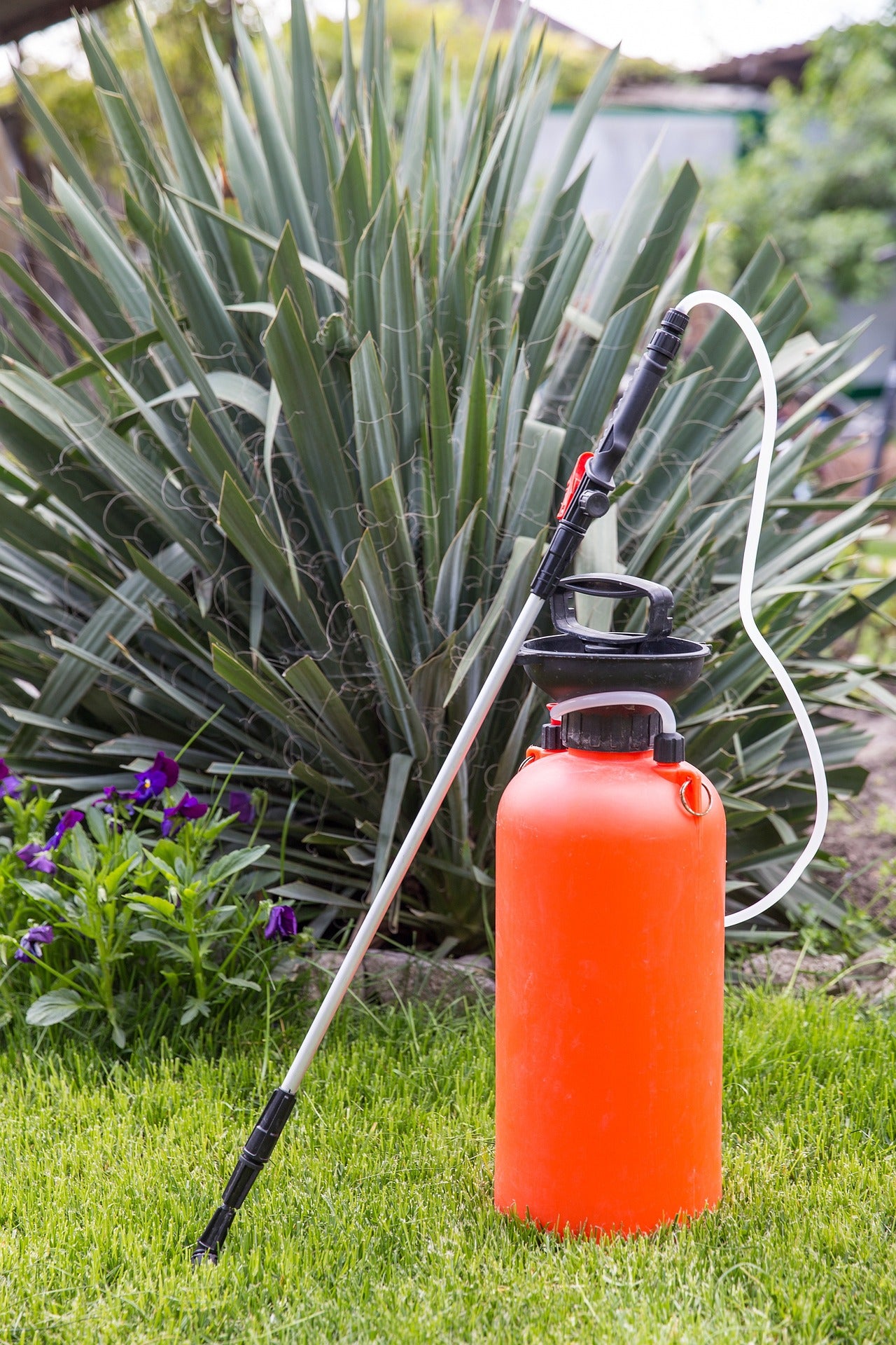 Pest chemical aerosol placed on the green grass 