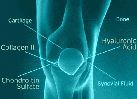 knee; x-ray; collagen for joints; synovial fluid; knee cartilage; chondroitin; collagen supplement singapore