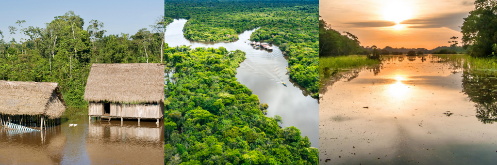 Peru Amazon