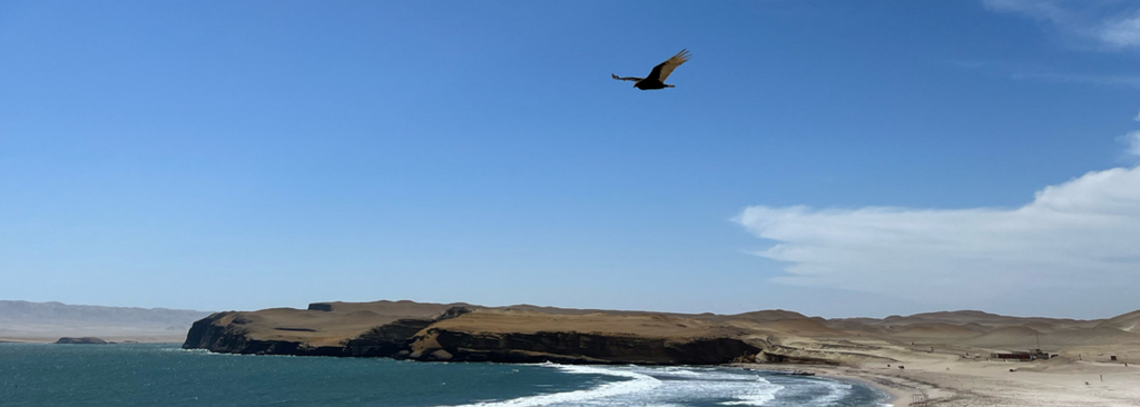 Paracas