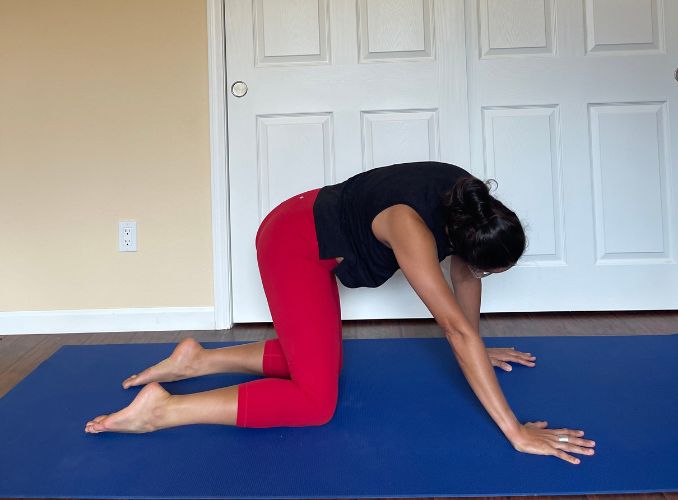 Spine Circles 3 Full Body Stretch Yoga