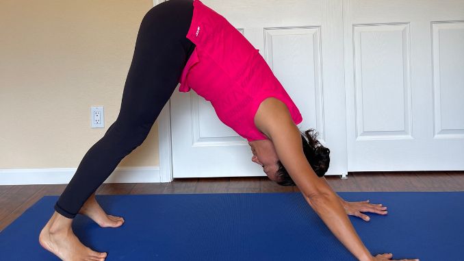 Downward Dog to Forward Fold2