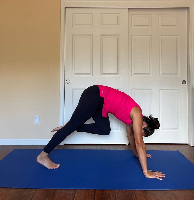 Downward Dog to Knee Circles5- Yoga Hip Flexibility