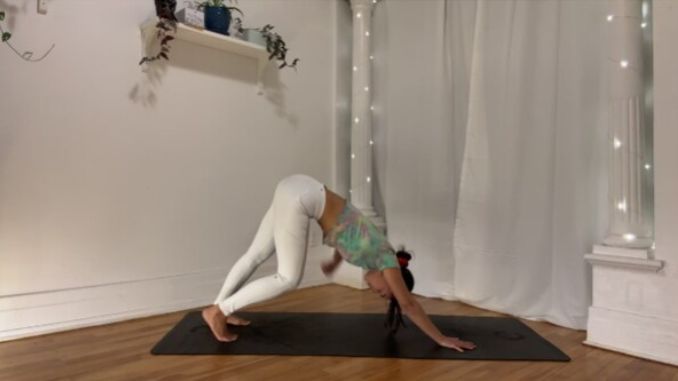 Downward Dog with Hamstring Stretch 1