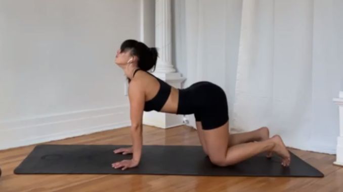 Downward Dog with Hamstring Stretch 1