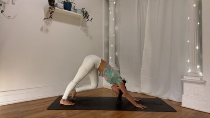 Downward Dog with Hamstring Stretch 2