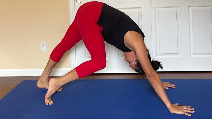 Downward Dog with Hamstring Stretch