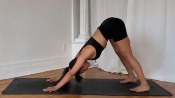 Downward Dog with Toe Raises 1- Vinyasa yoga