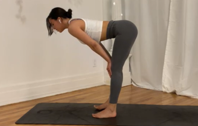 Variation 1 - Halfway Lifts ( Easy Version)