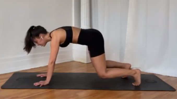 Plank to Downward Dog 3