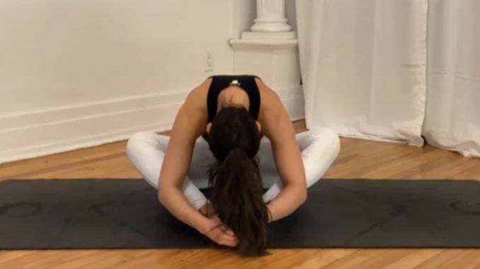 Beginner Yoga Poses for Flexibility