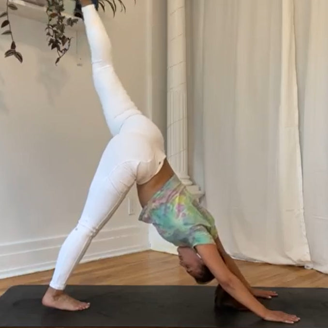 Three- Legged Downward Facing Dog with Knee Drives