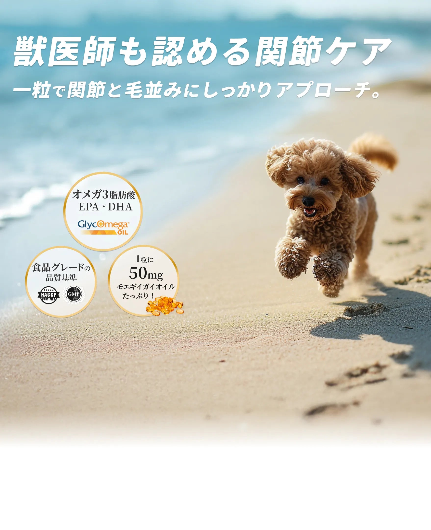 獣医師も認める関節ケア。一粒で関節と毛並みにしっかりアプローチ。