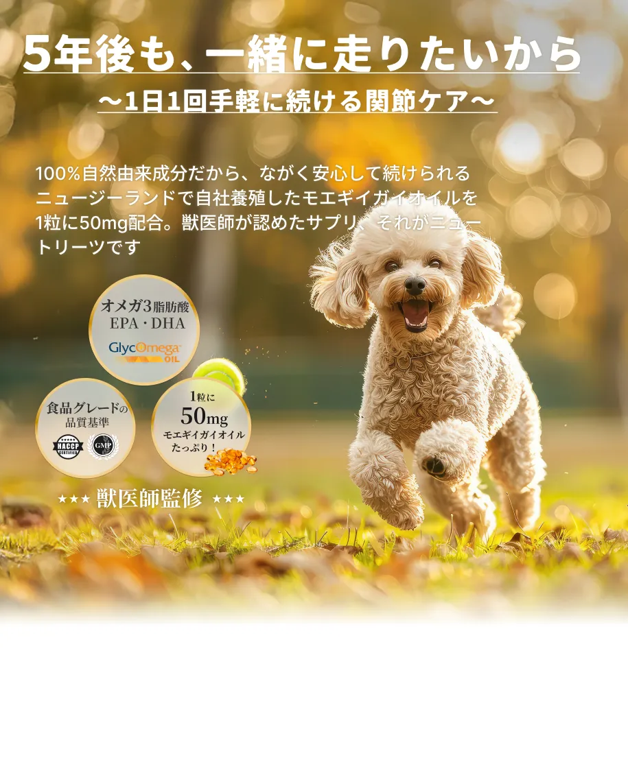 獣医師も認める関節ケア。一粒で関節と毛並みにしっかりアプローチ。