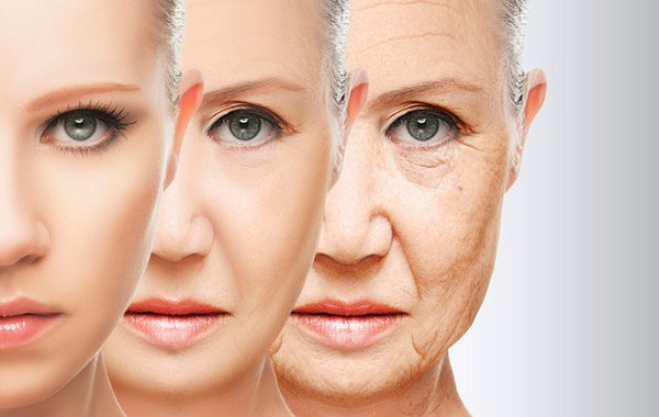 Reduces early signs of aging