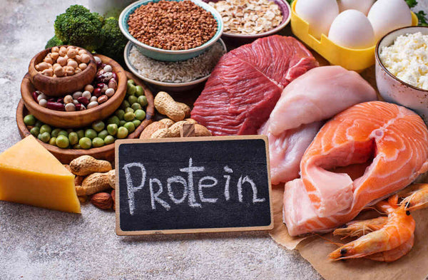 protein-intake