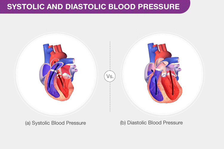 Systolic-vs-Diastolic-Blood-Pressure