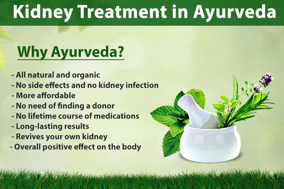 kidney-treatment-ayurveda