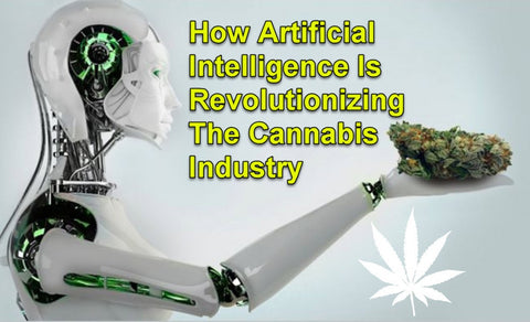 How AI influences the canabis industry