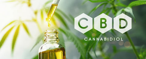 CBD oil 