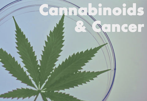 cannabis and cancer